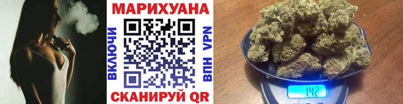Как найти наркотики Светогорск МАРИХУАНА  Кокаин  Псилоцибиновые грибы  ГАШ 