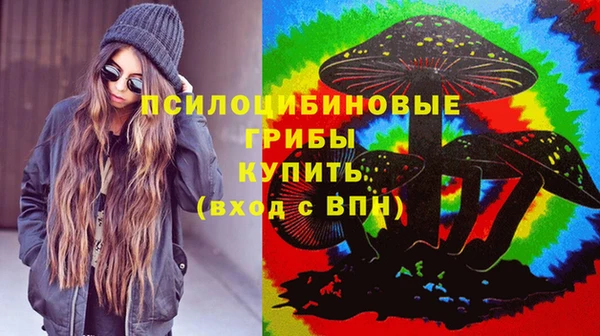 прущие крисы Белокуриха