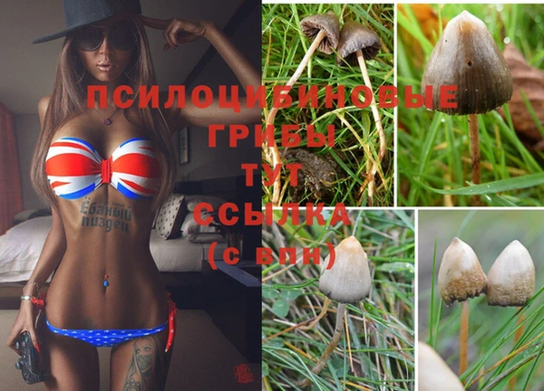 ешки Белоозёрский