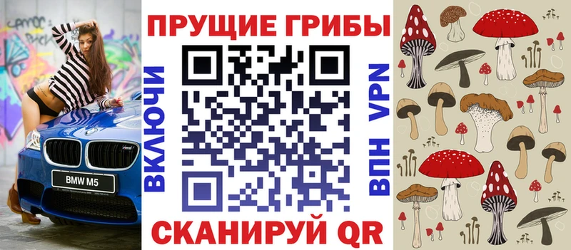 MEGA зеркало Светогорск Галлюциногенные грибы Psilocybine cubensis